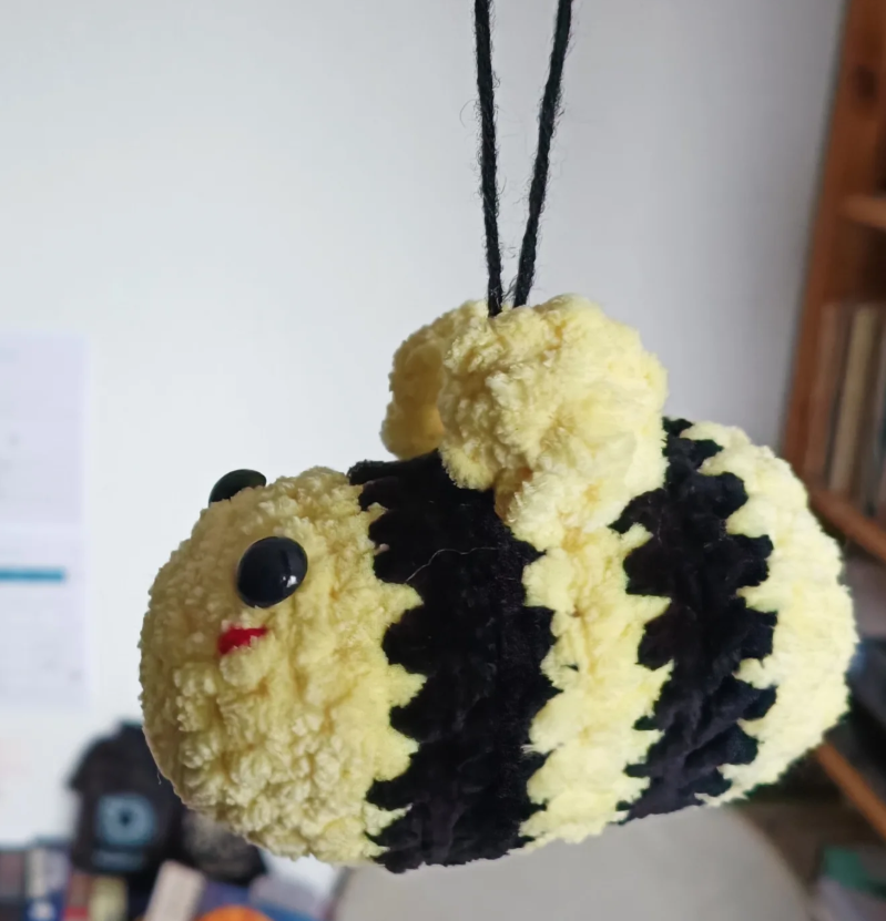 CIARA, l'abeille guerrière